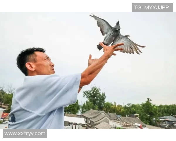 北京乒乓球队逆袭之旅揭秘：从低谷到巅峰的奋斗与荣耀