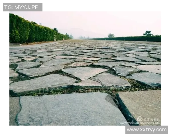 李强的排球人生深度对话探寻运动背后的坚持与梦想 李强的排球人生深度对话探寻运动背后的坚持与梦想