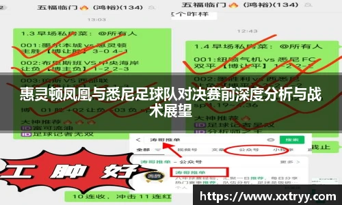惠灵顿凤凰与悉尼足球队对决赛前深度分析与战术展望